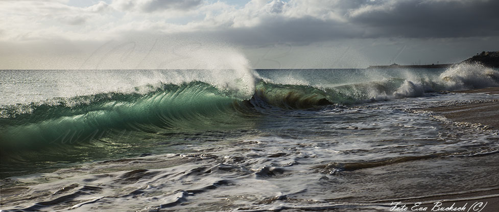 Foto av Eva Bucksch